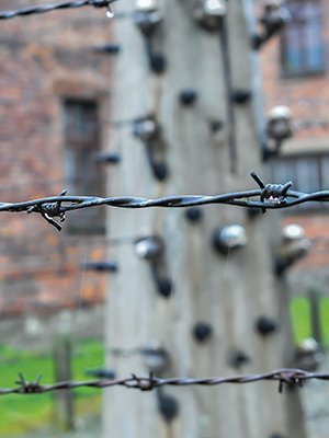 Tadeusz „Teddy” Pietrzykowski 