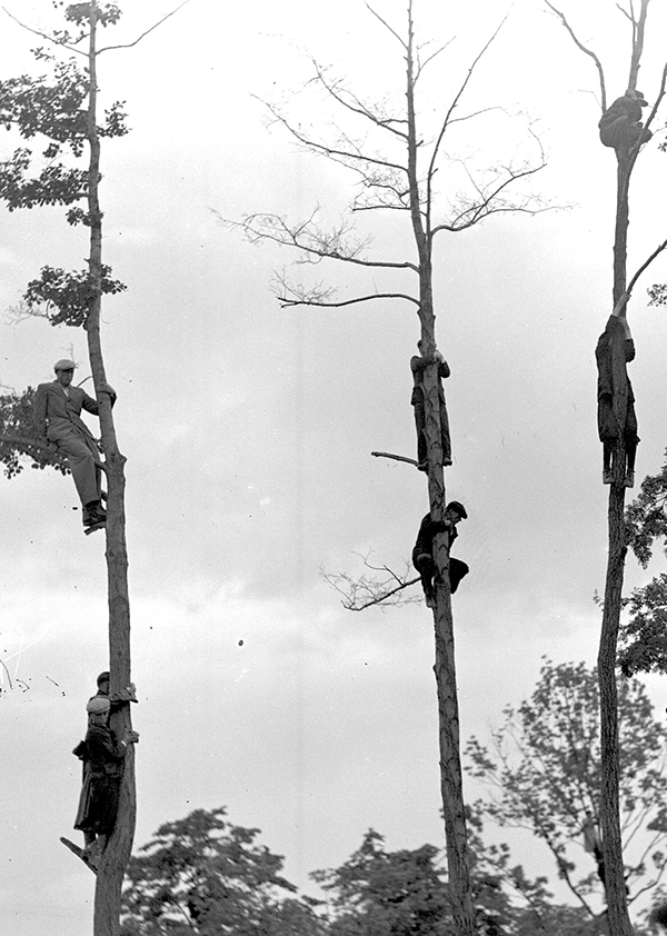 Kibice z gałęzi drzew oglądają mecz piłki nożnej TS Wisła Kraków – Chelsea FC. Ze zbiorów Narodowego Archiwum Cyfrowego