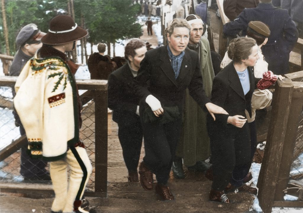 Helena Marusarzówna podczas Mistrzostw Świata w Narciarstwie Klasycznym FIS w Zakopanem. Styczeń 1939 Fot. NAC